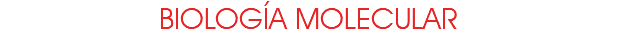 BIOLOGÍA MOLECULAR